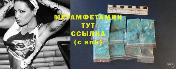 шишки Верея