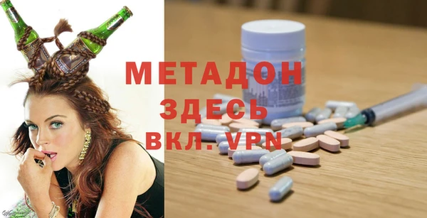 шишки Верея