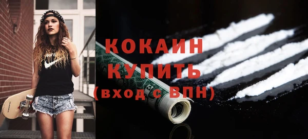 шишки Верея