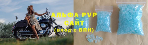 шишки Верея