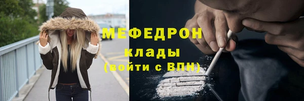 шишки Верея