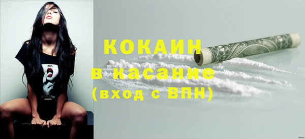 шишки Верея