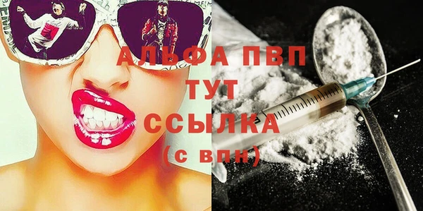 шишки Верея