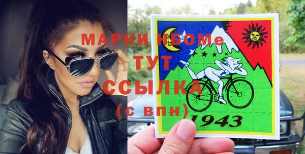 шишки Верея