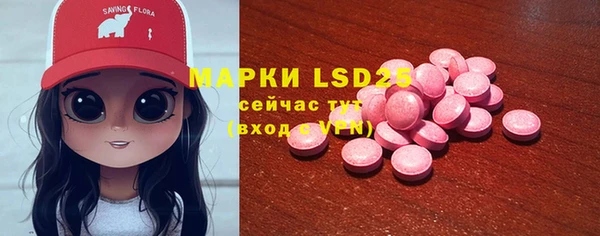 шишки Верея
