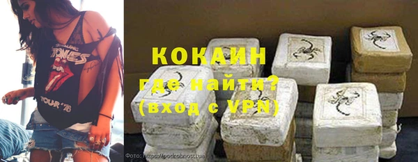 шишки Верея