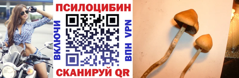 Псилоцибиновые грибы Psilocybine cubensis продажа наркотиков маркетплейс состав Волоколамск